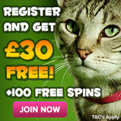 Kitty Bingo Kitty Bingo