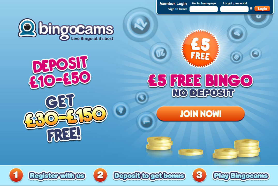 Bingocams | Best Bingo Sites | Top Bingo Sites | Online ...
