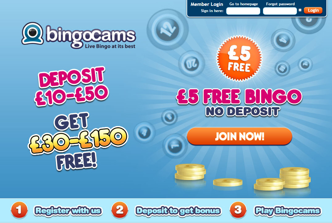 bingo cams bingo cams