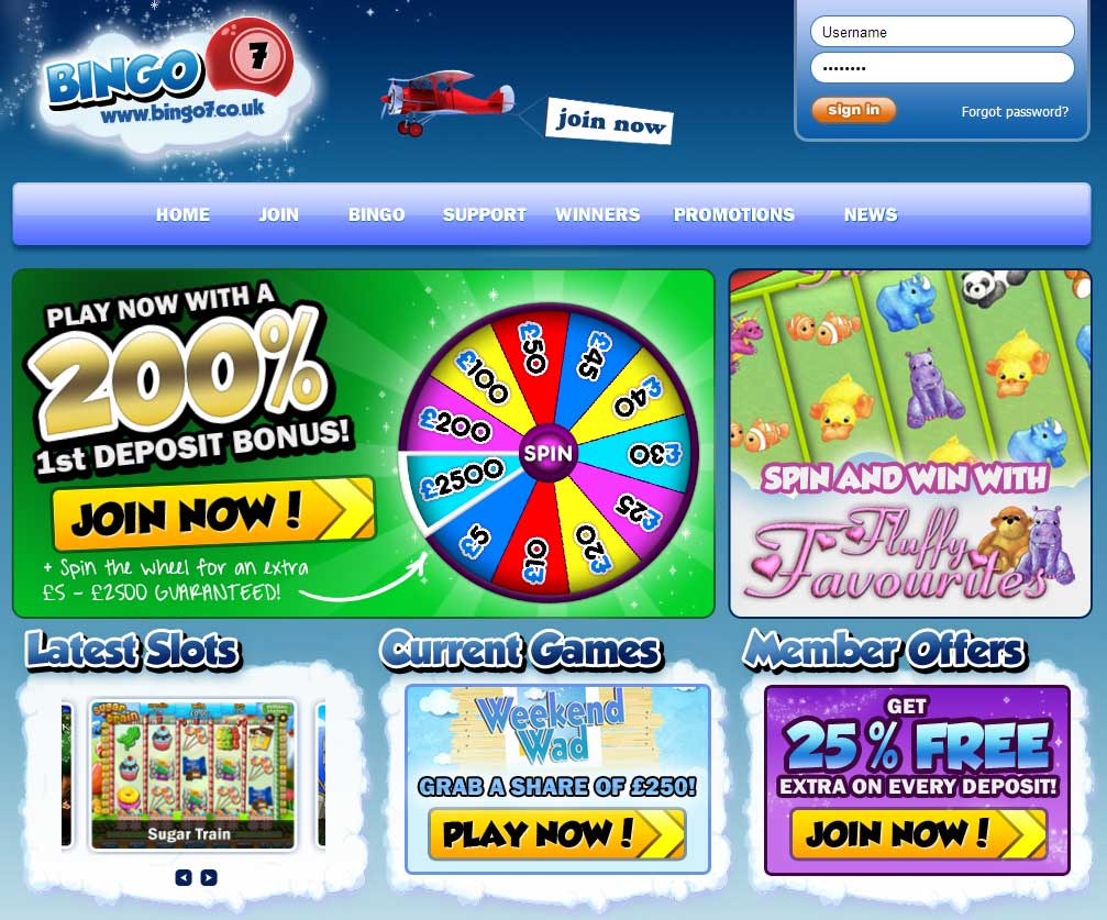 Bingo 7 Bingo 7