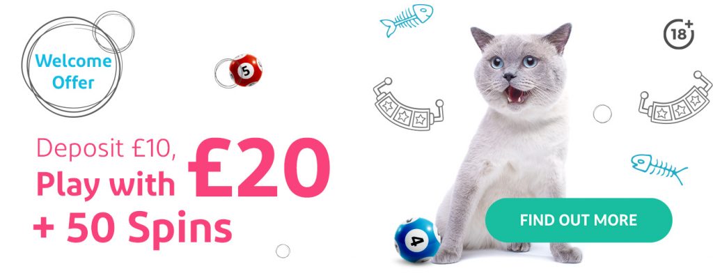 Kitty Bingo