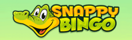 Snappy Bingo