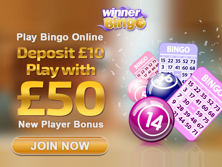 Winner Bingo Winner Bingo