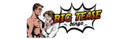 Big Tease Bingo