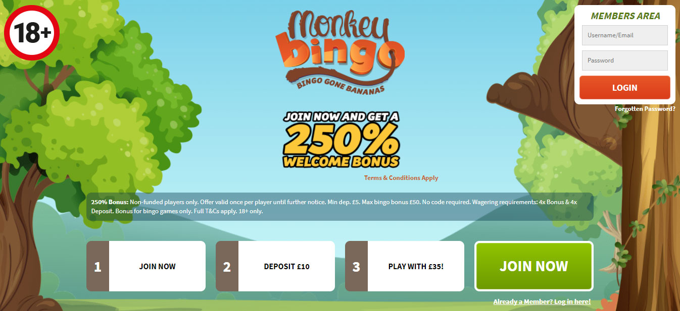 Monkey Bingo Monkey Bingo