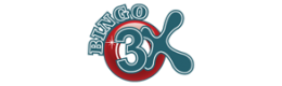 Bingo 3X