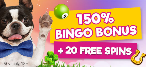 Kitty Bingo