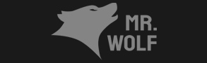 Mr Wolf Slots