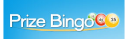 Prize Bingo