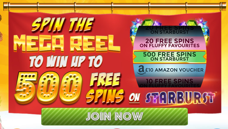 Get Ready to Discover New Bingo Games Section at Delicious Slots