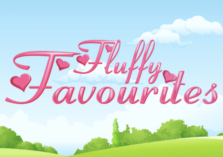 Fluffy Favourites