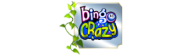 Bingo Crazy
