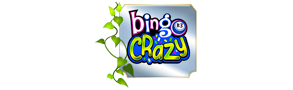 Bingo Crazy