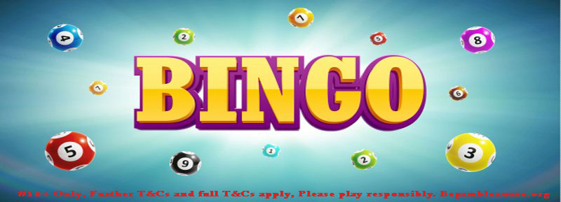 online bingo