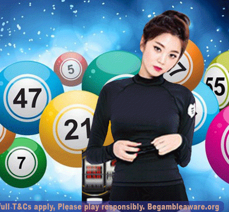 Will The Development In Popularity Of Online Bingo Continue?