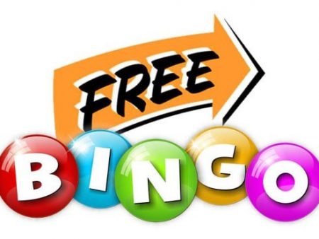 What Free Bingo Is All About?