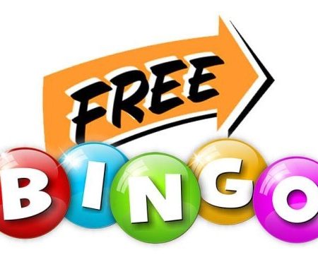 What Free Bingo Is All About?